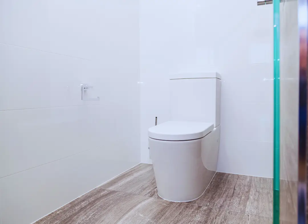 Remplacement de wc Eaunes